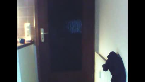 schnibschnab online show from 27, 2, 2026