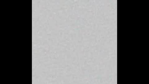 Scolw  online show from 19, 12, 2025