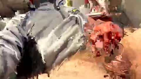 scottj603603 online show from 18, 2, 2026