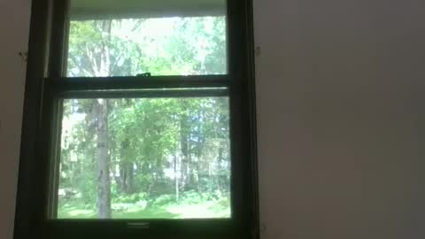 scottpbi52 online show from 13, 5, 2026