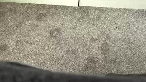 scottyc48 online show from 21, 3, 2026