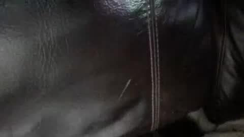 Snapshot of secret18slaveanon chatting on 13, 1, 2026 Sunny online show from 13, 1, 2026