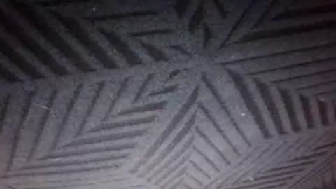 Snapshot of secret18slaveanon chatting on 12, 3, 2026 Sunny online show from 12, 3, 2026