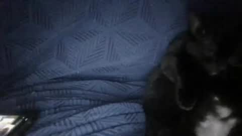 Snapshot of secret18slaveanon chatting on 18, 3, 2026 Sunny online show from 18, 3, 2026