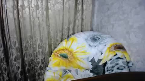 Snapshot of secretcandy222 chatting on 1, 3, 2025 secretcandy222 online show from 1, 3, 2025