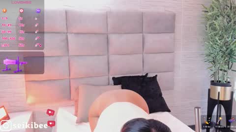 seikibee online show from 21, 2, 2026