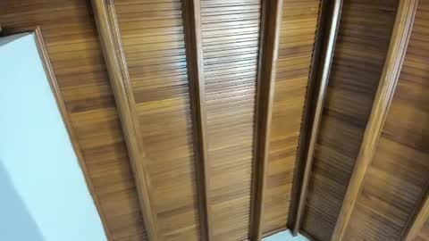 Selene online show from 5, 4, 2026