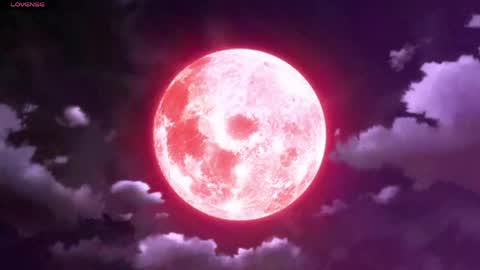 Selene G  online show from 1, 4, 2026