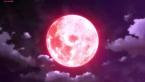 Selene G  online show from 26, 6, 2026