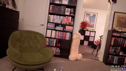 Snapshot of serareads chatting on 6, 1, 2025 SeraReads online show from 6, 1, 2025