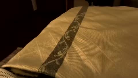 sevenorder online show from 21, 1, 2025