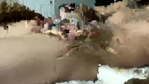 seximexibbc online show from 11, 1, 2025