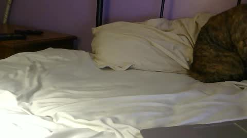 sexxxylibra10 online show from 25, 4, 2026