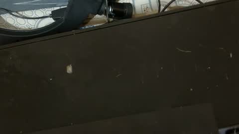 sexy_candy9 online show from 11, 2, 2026