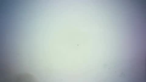 sweetjoy9 online show from 25, 3, 2026