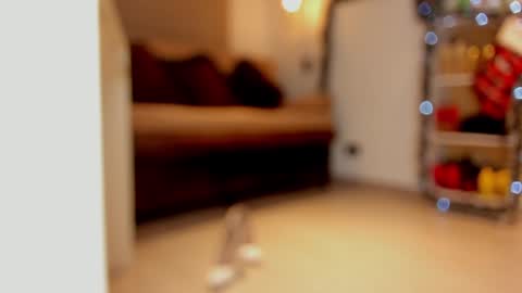 Snapshot of sexykata_s chatting on 29, 12, 2024 katalina larson online show from 29, 12, 2024