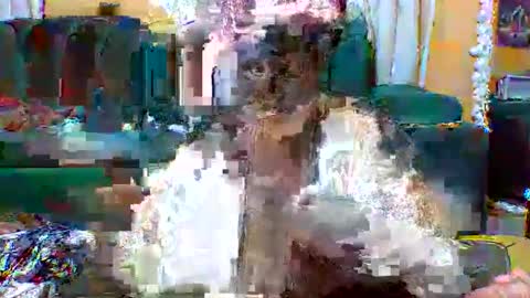 sexylo52 online show from 13, 5, 2026