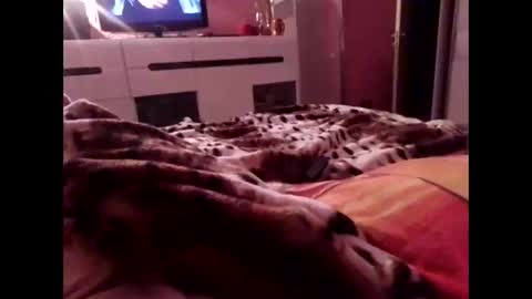 Snapshot of sexypairjuly chatting on 4, 11, 2025 sexypairjuly online show from 4, 11, 2025