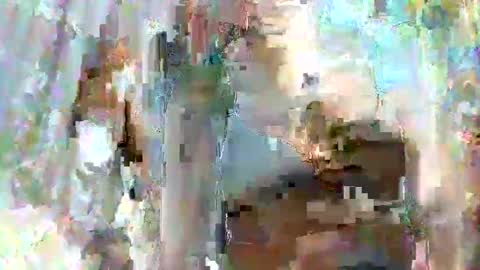 taiyan online show from 15, 2, 2025