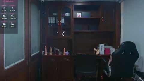 R A C H E L online show from 11, 2, 2026