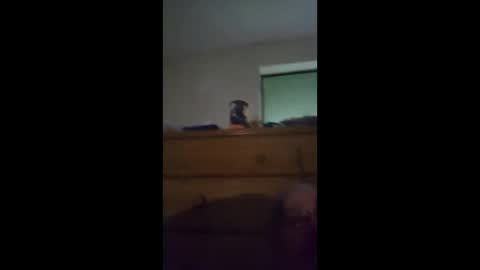 sgtbrown01 online show from 23, 4, 2026