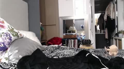 Snapshot of shannon07 chatting on 13, 1, 2025 Shannon07 online show from 13, 1, 2025