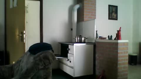 Snapshot of shaomy711 chatting on 22, 12, 2024 excelo21 online show from 22, 12, 2024