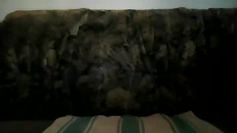 Snapshot of shaomy711 chatting on 19, 1, 2025 excelo21 online show from 19, 1, 2025