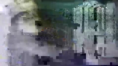 Snapshot of shashee870242 chatting on 14, 2, 2025 Shashee870242 online show from 14, 2, 2025