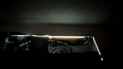 Snapshot of shawty_hung420 chatting on 18, 6, 2026 shawty_hung420 online show from 18, 6, 2026