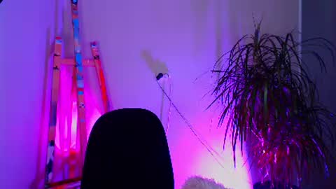 sheeeeesh_gurl online show from 19, 12, 2024
