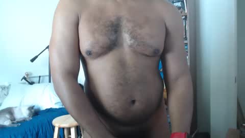 sheepishlion online show from 6, 4, 2026