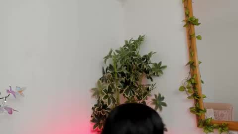 Shego  online show from 22, 9, 2025