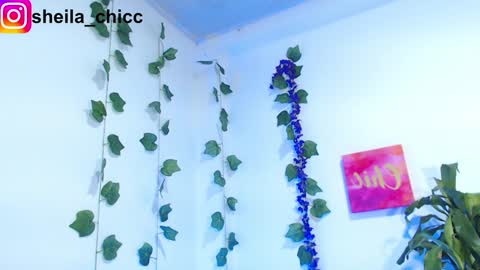 Snapshot of sheila_bigcok chatting on 9, 12, 2024 SHEILA online show from 9, 12, 2024