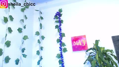 Snapshot of sheila_bigcok chatting on 9, 12, 2024 SHEILA online show from 9, 12, 2024