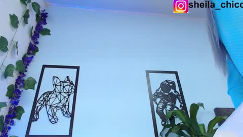 Snapshot of sheila_bigcok chatting on 25, 2, 2025 SHEILA online show from 25, 2, 2025