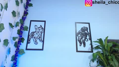 Snapshot of sheila_bigcok chatting on 26, 2, 2025 SHEILA online show from 26, 2, 2025