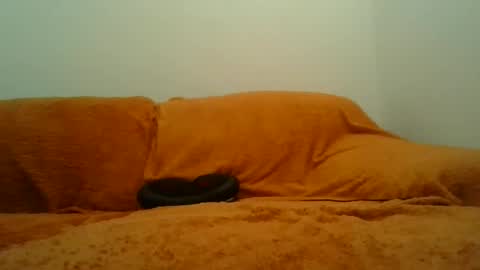 showherenow online show from 8, 3, 2026