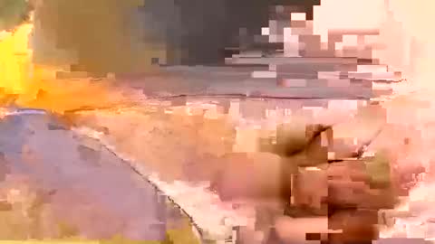 showsme online show from 19, 2, 2026