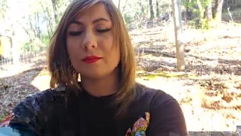 Snapshot of shy_college_girl chatting on 19, 1, 2025 Aurora Wolfe  Shy College Girl  Top 16 of all OF Creators online show from 19, 1, 2025