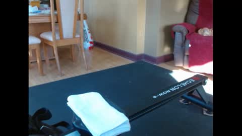 shy guy spc online show from 5, 2, 2026