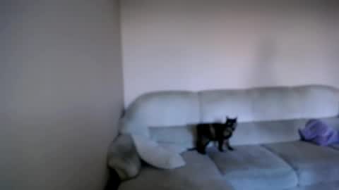 shy_sabrina_ online show from 26, 4, 2026