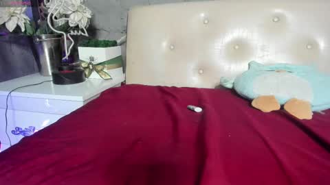 Snapshot of shygurl18hot chatting on 25, 2, 2025 shygurl18hot online show from 25, 2, 2025