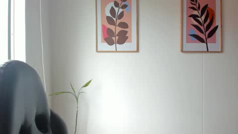 Snapshot of shylittlebunny chatting on 9, 6, 2026 shylittlebunny online show from 9, 6, 2026