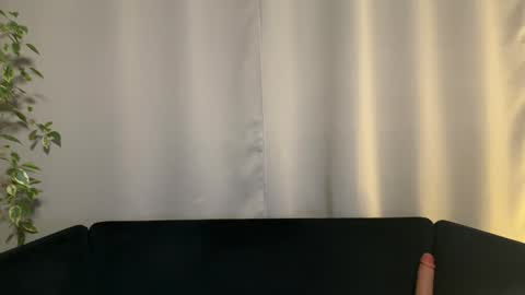 Amelia online show from 29, 1, 2025