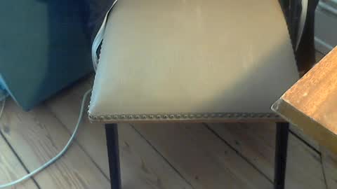 Snapshot of sibblii0 chatting on 19, 6, 2026 Seba online show from 19, 6, 2026