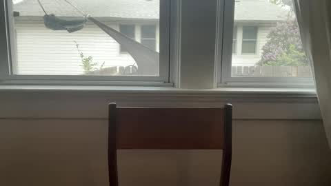 sie273 online show from 16, 4, 2026