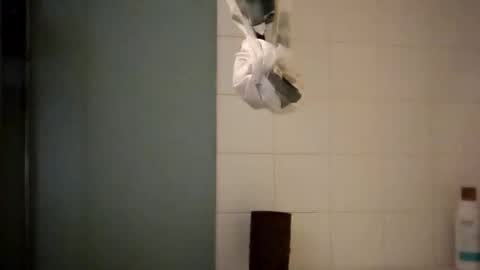 sigmaelixer online show from 18, 10, 2025