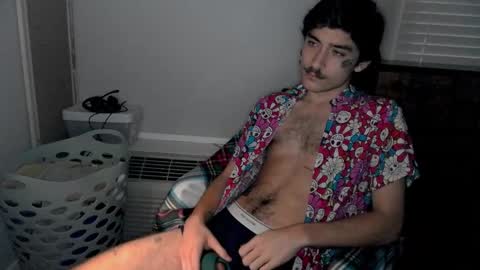 Snapshot of silly_cybin chatting on 17, 1, 2025 cybin online show from 17, 1, 2025