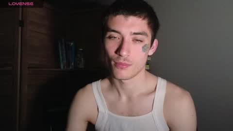 Snapshot of silly_cybin chatting on 17, 6, 2026 cybin online show from 17, 6, 2026
